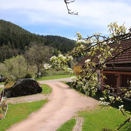 Backhäusle - Apb100 Ferienhaus *
