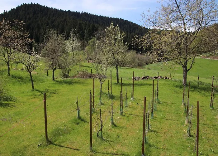 Backhaeusle By Interhome