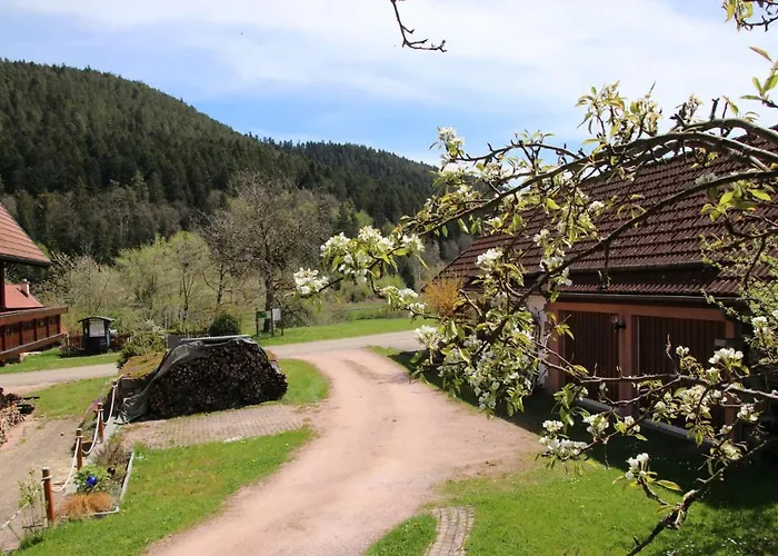 Backhaeusle By Interhome Holiday home *